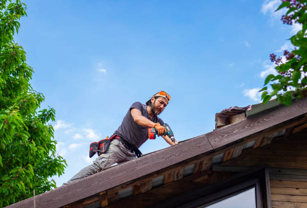 Best Storm Damage Roof Repair  in Charlotte, MI